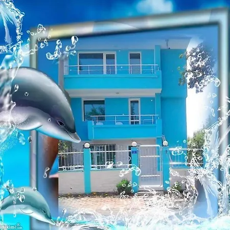 деси 1 * تشيرنوموريتس