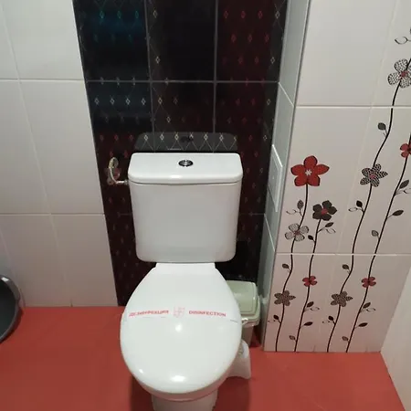 Guest house деси 1 *
