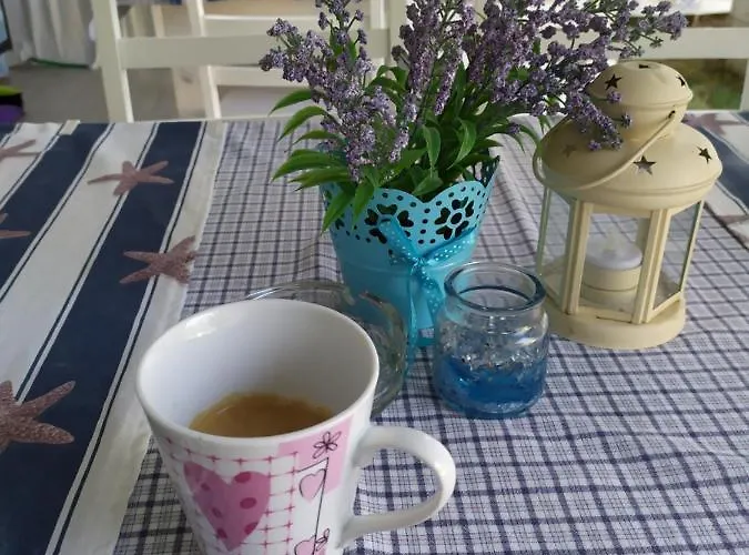 деси 1 招待所 *