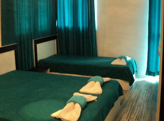 招待所 деси 1 *